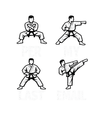 Per My Last Email Karate
