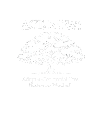 Act Now Tree Adoption