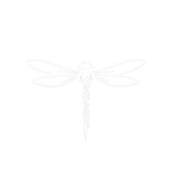 Dragonfly Warrior Spirit