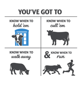 Know Your Cows Humor