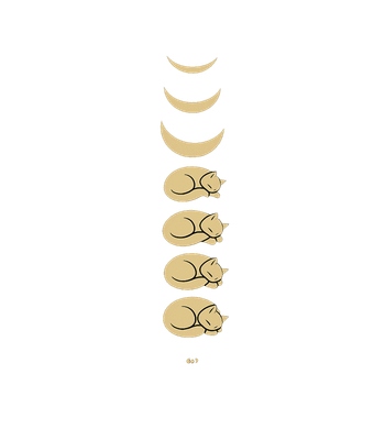 Moon Cat Phases