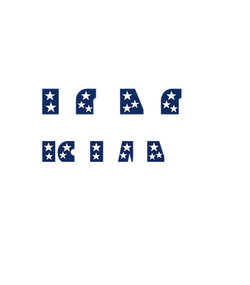 Stars and Stripes Defiance