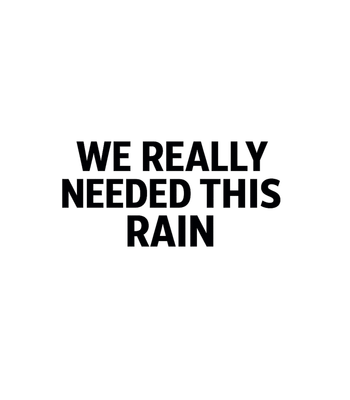 We Really Needed This Rain Hat.