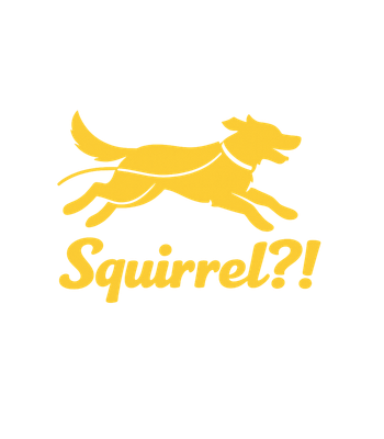 Squirrel Dog Chase