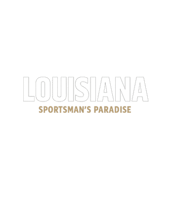 Louisiana White and Gold Basic T-Shirt