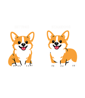 Corgi Sitting Standing
