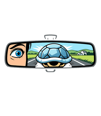 Turtle In Rearview Mirror