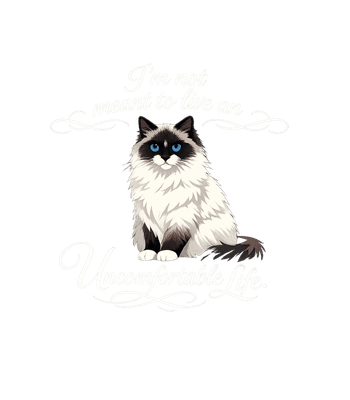 Comfortable Cat Life