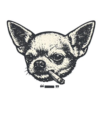 Smoking Chihuahua