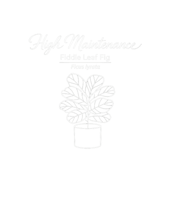 High Maintenance Plant