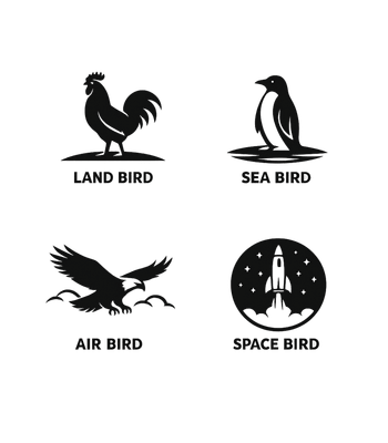 Land Sea Air Space Birds