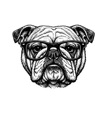 Smart Bulldog Glasses