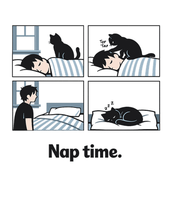 Cat Nap Time