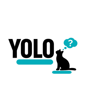 YOLO Cat Women's V-Neck Tee