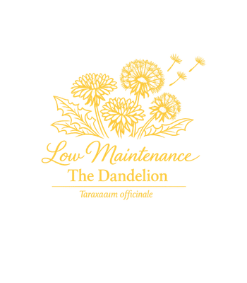 Low Maintenance The Dandelion